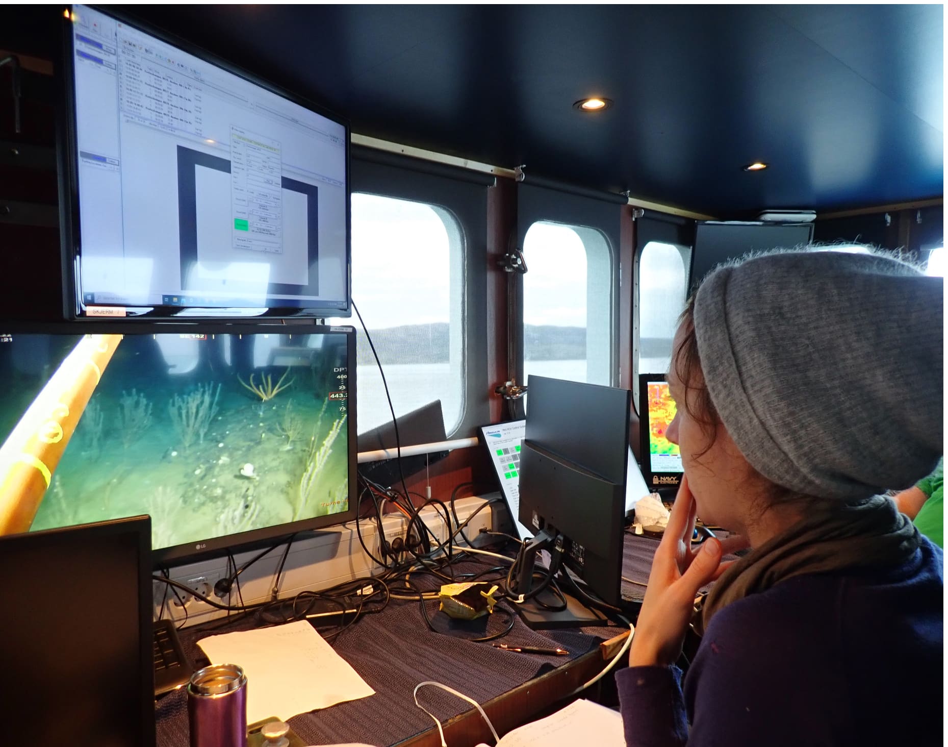 Coral forests and sponge gardens. Mapping vulnerable benthic habitats