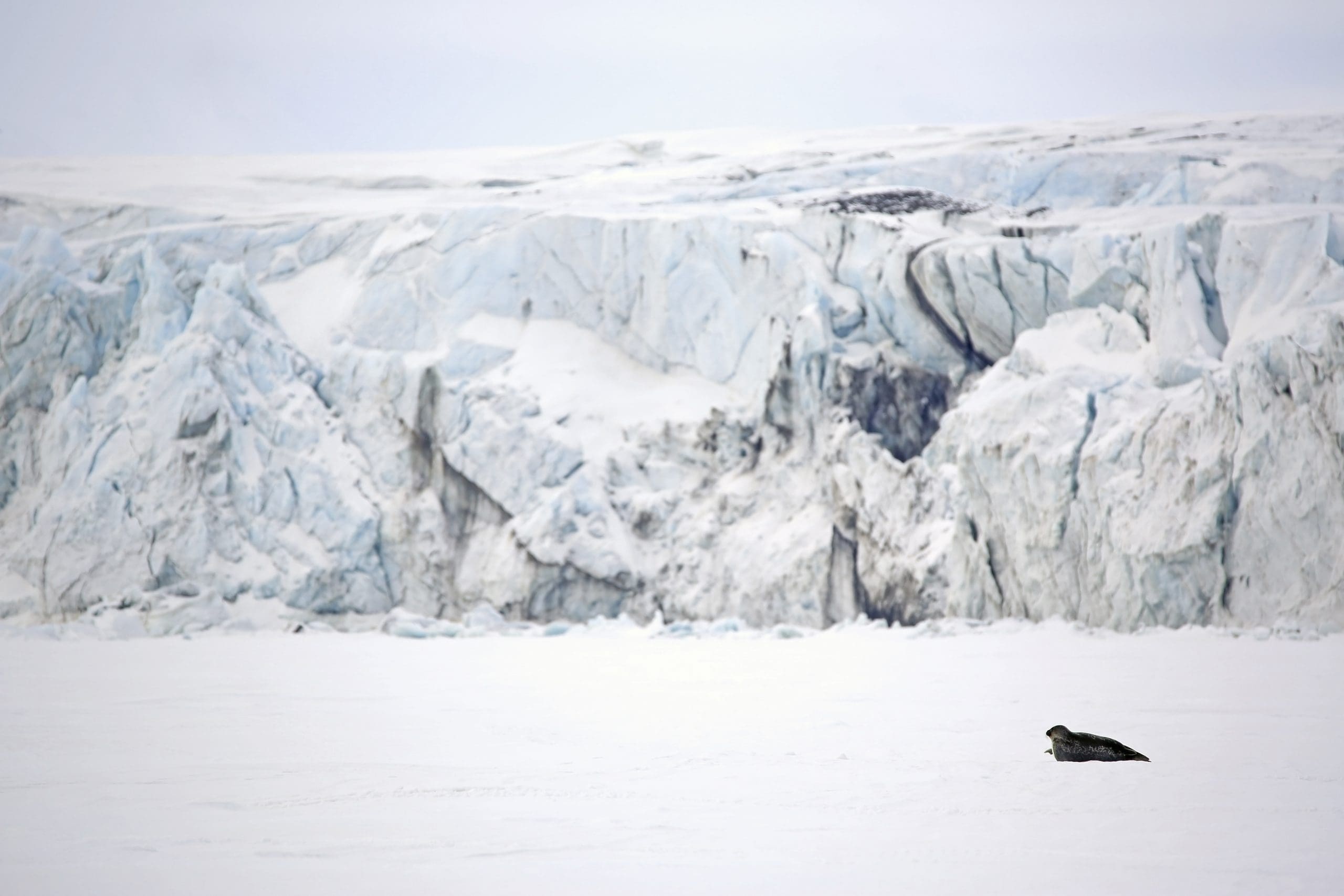Where do contaminants in the Arctic come from? Meet the Nested Exposure Model