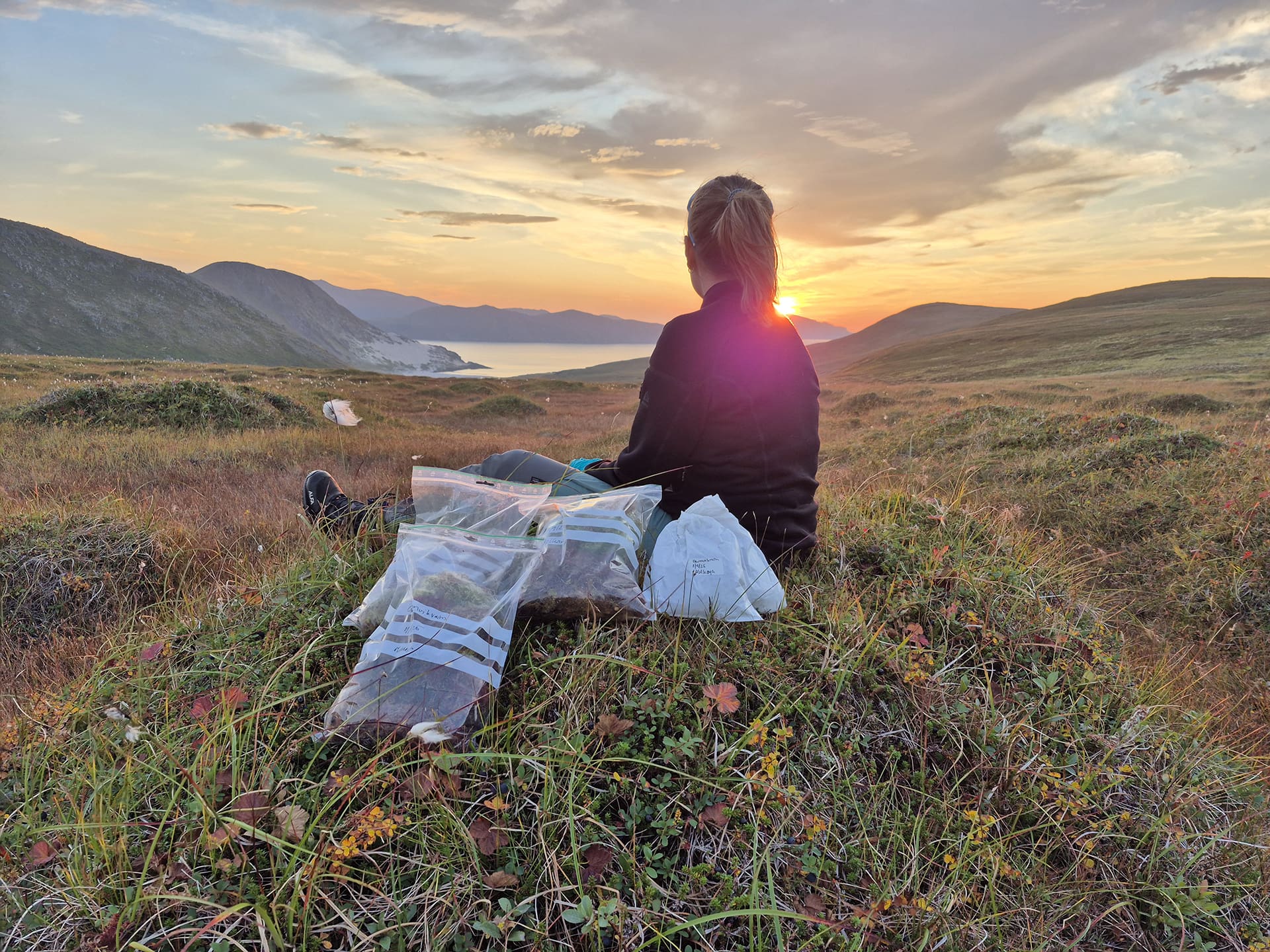 Foto av forsker som jobber med mose