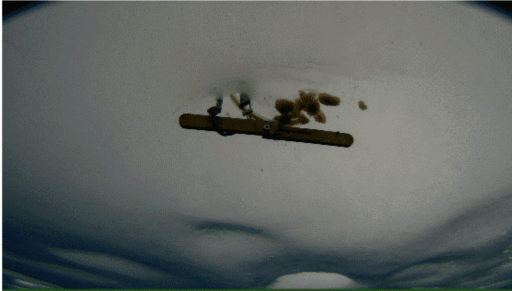 Foto av en is-prøve