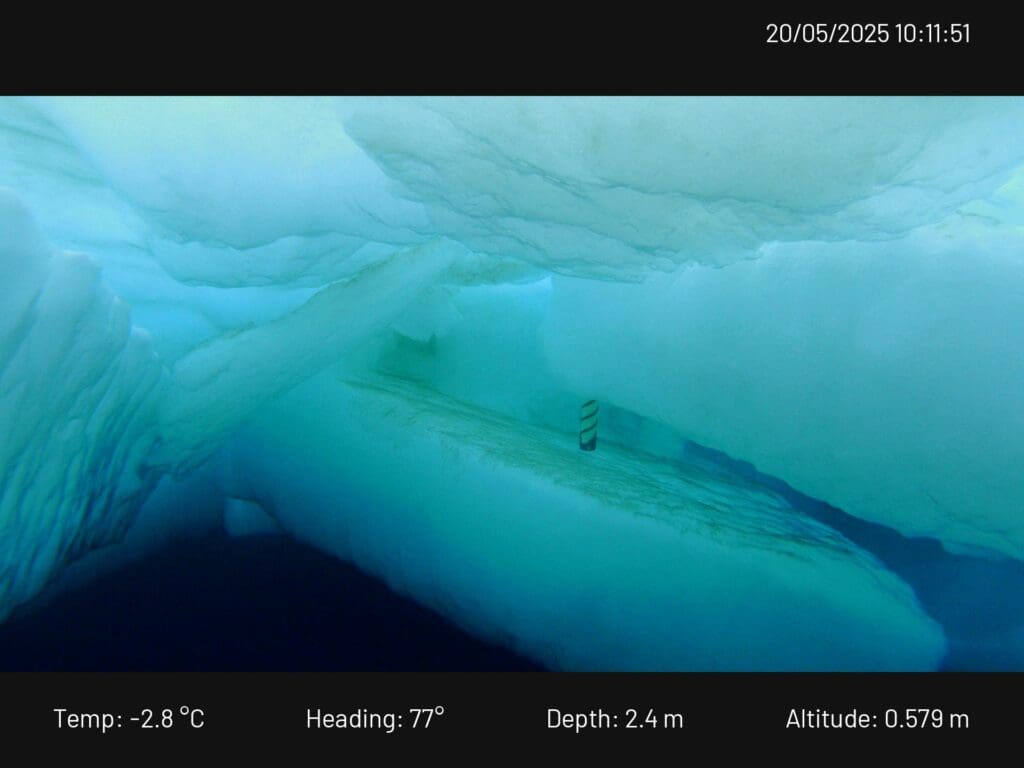 Foto av is under vann