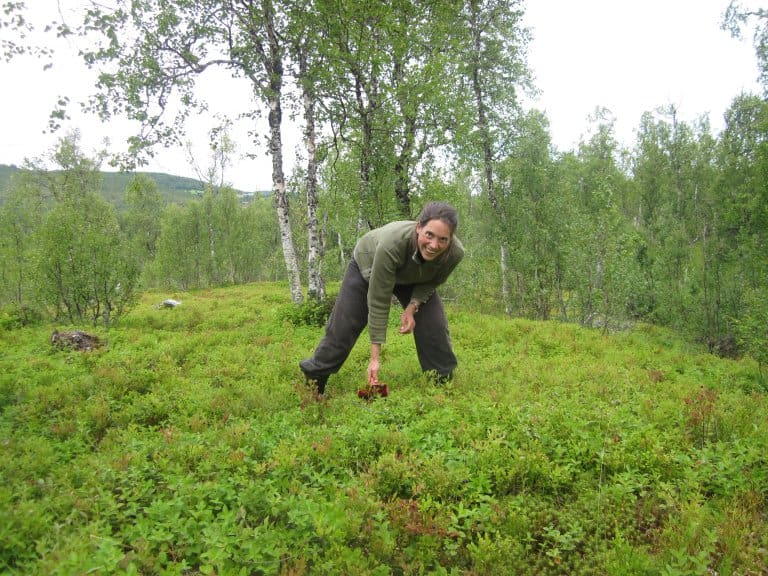 Foto av Frøydis Gillund som plukker bær