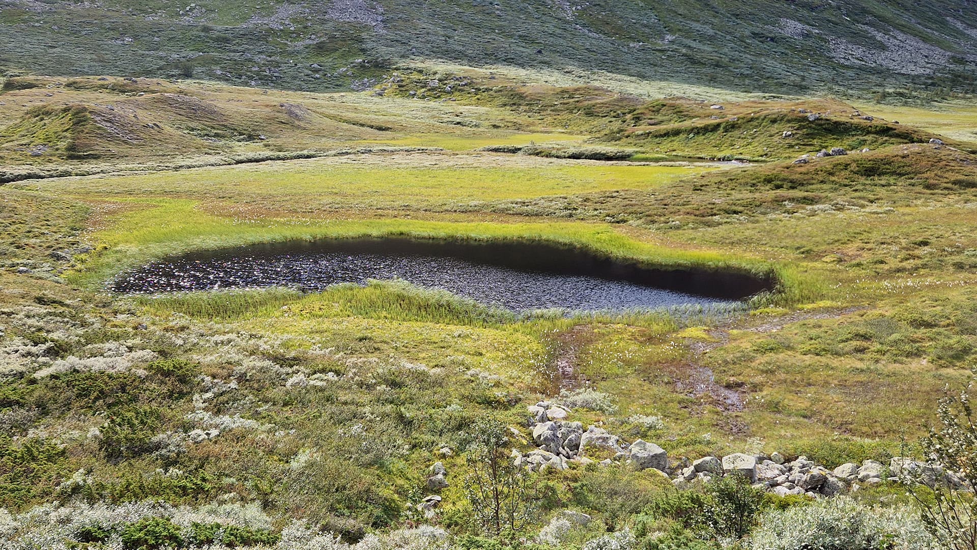 LAVDAS: Advancing nationwide wetland mapping  