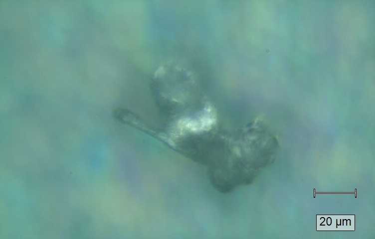 Eksempel på polypropylen-partikkel